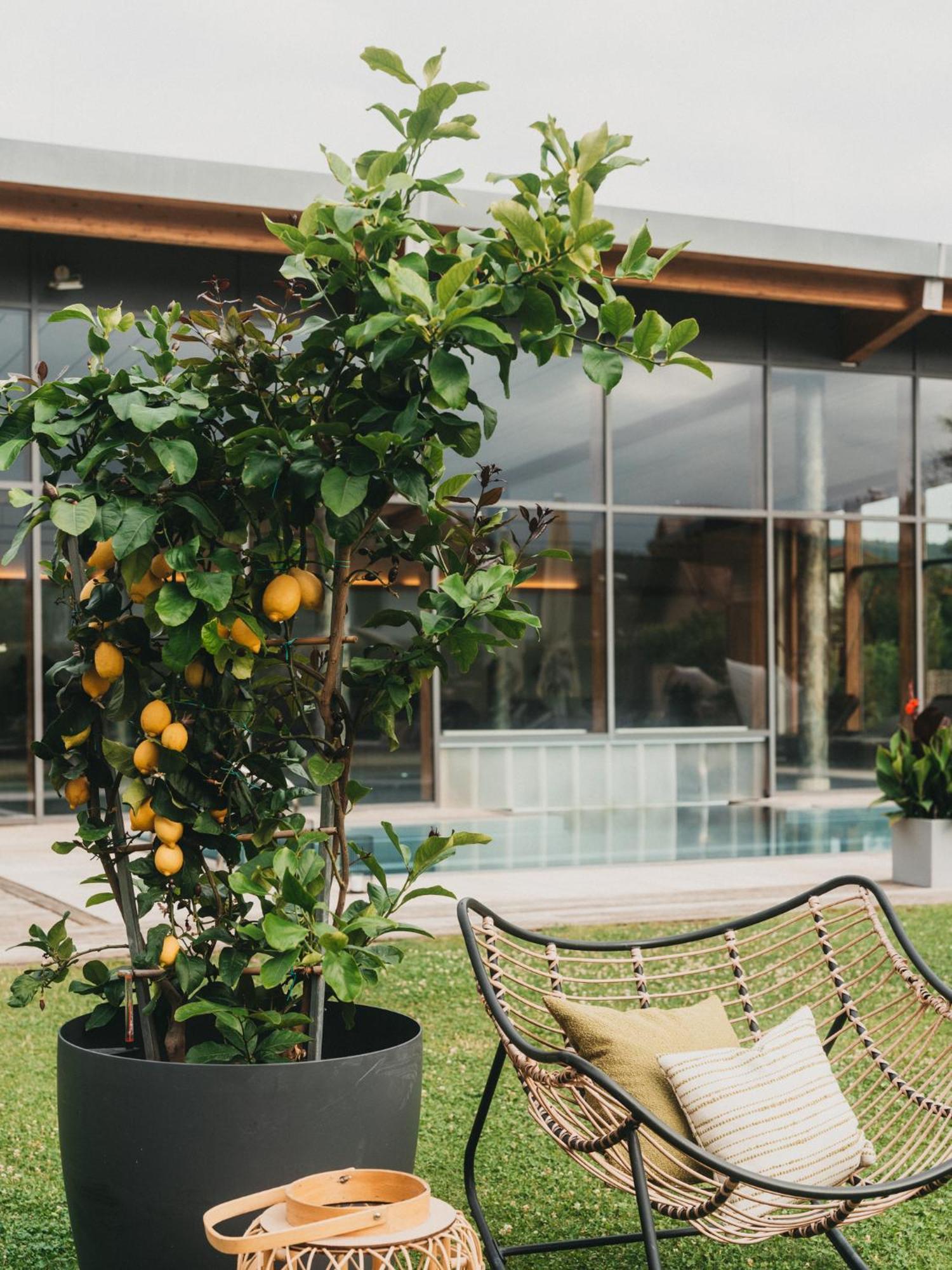 Hotel Eibl Frauenau Ngoại thất bức ảnh